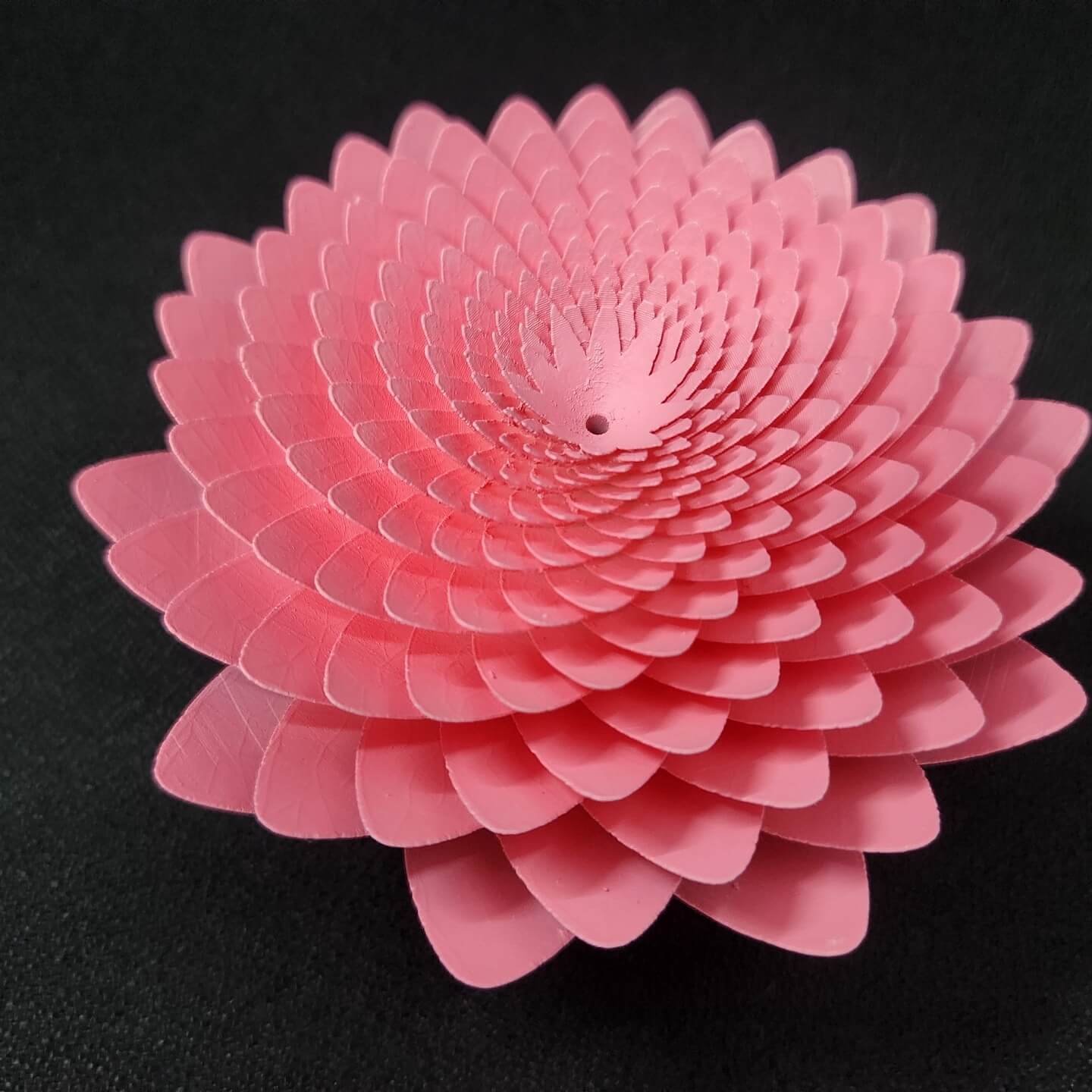 337792348_781939053504773_8565035858082030749_n